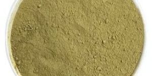 Moringa Powder