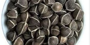 Moringa Seeds