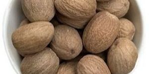 Nutmeg
