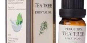 Tea Tree Essential Oil