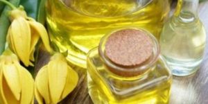 Oregano Oil