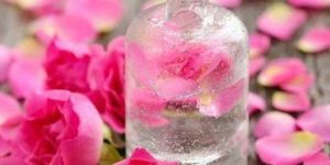 Rose Geranium Oil