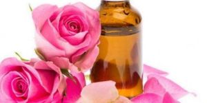 Rosemary Oil