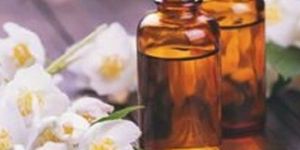 Ylang Ylang Oil