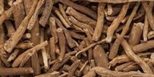 Ashwagandha Roots