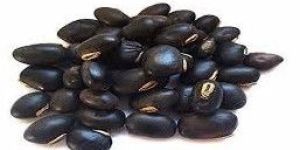 Black Dry Kaunch Beej