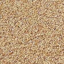 Natural Khaskhas Posta Dana