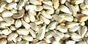 Natural Kusum Beej Safflower Seed