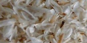 Natural Psyllium Husk