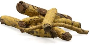 Saptarangi Root Casearia Esculenta