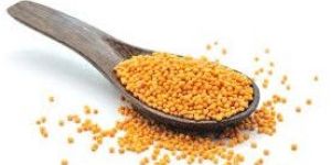 Yellow Mustard Seeds