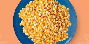 Maize