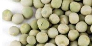 Green Peas