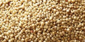 Sorghum Millet