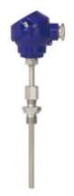 Resistant Temperature Detector with Head Model RTD01