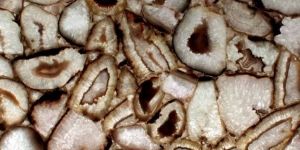 Crystal Agate Grey Semiprecious Stones