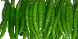 Green Chillies