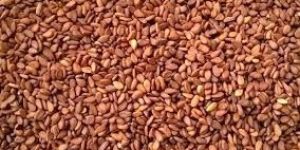 Brown Sesame Seeds