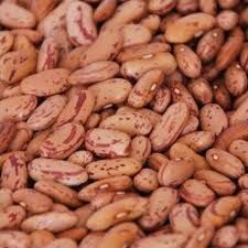 Chitra Kidney Beans