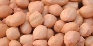 Java Peanuts