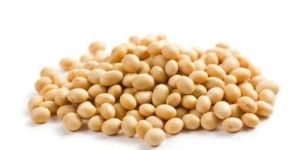Organic Non Gmo Soybean