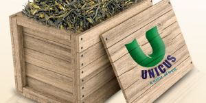 Darjeeling Green Tea