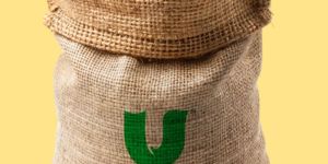 Golden Sells Basmati Rice