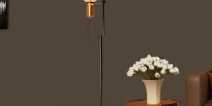 Adjustable Matte Black Floor Lamp