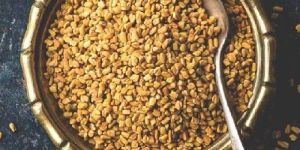 Fenugreek Seed