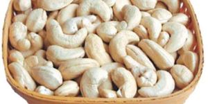 Cashew Nut