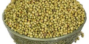 Coriander Seeds