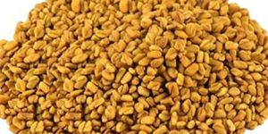 Fenugreek Seeds