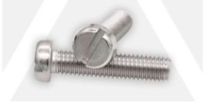 Stainless Steel Slotted Cheese Head Screw