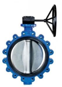 Lug Type Butterfly Valve