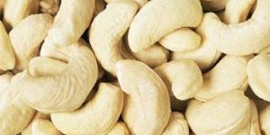 Cashew Nut