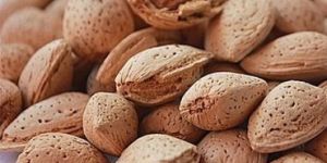 Kashmiri Almond