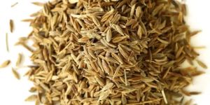 Cumin Whole