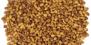 Fenugreek Seed