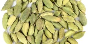Green Cardamom