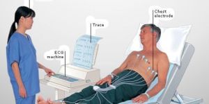 Adult ECG Ekg Cables Lead Wires