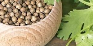 Coriander Seeds