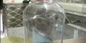 250ml Empty Dish Wash PET Bottle