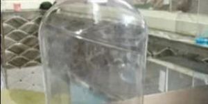 500ml Empty Dish Wash PET Bottle