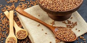 Buckwheat Seeds
