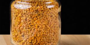 Fenugreek Seeds