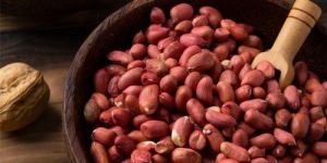 Groundnut Seeds