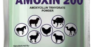 amoxin 200 amoxicillin powder