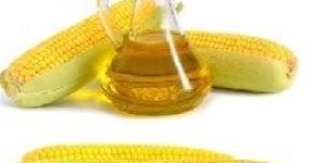 Corn Oil