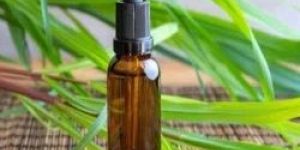 Citronella Essential Oil