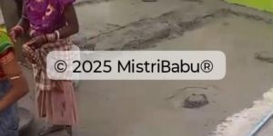 Roof Gardening in Bhubnswar